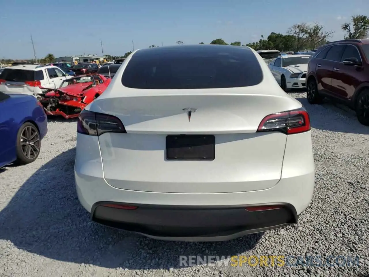 6 Photograph of a damaged car 7SAYGDED3RF131376 TESLA MODEL Y 2024