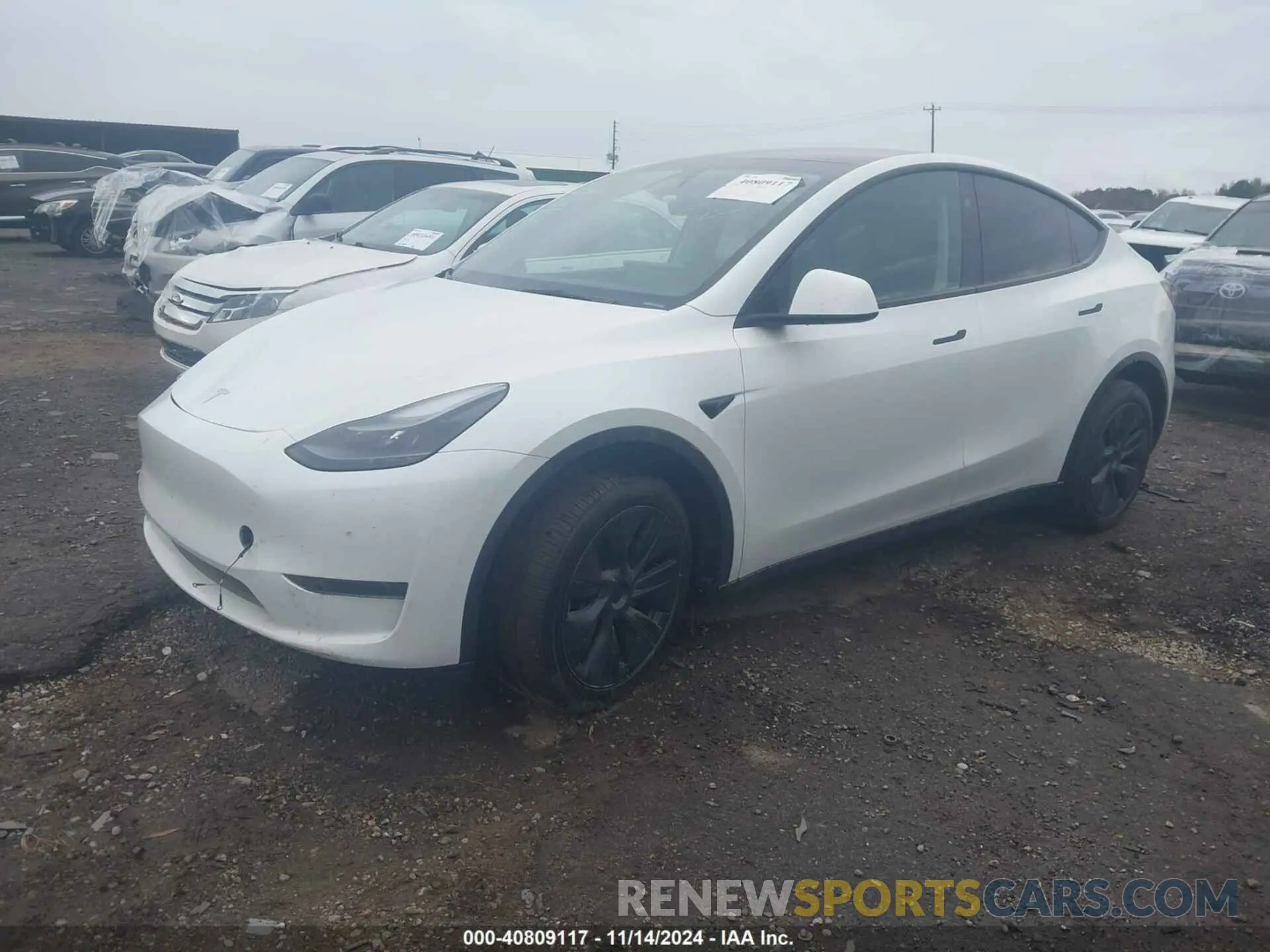 2 Photograph of a damaged car 7SAYGDED5RA333553 TESLA MODEL Y 2024