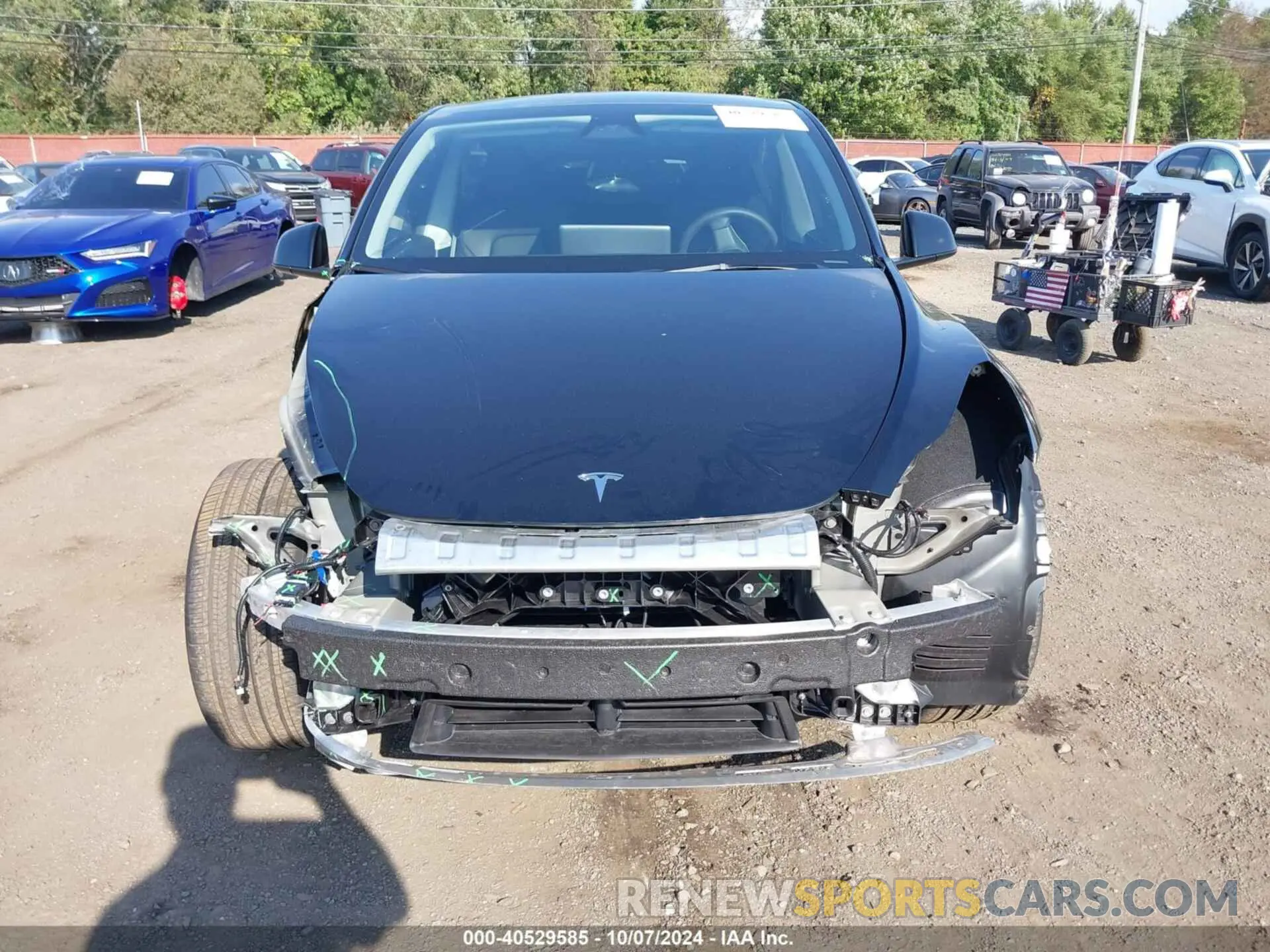 12 Photograph of a damaged car 7SAYGDED5RF130214 TESLA MODEL Y 2024