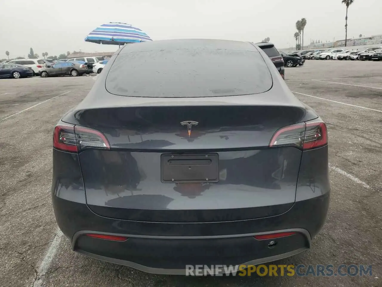 6 Photograph of a damaged car 7SAYGDED5RF161155 TESLA MODEL Y 2024