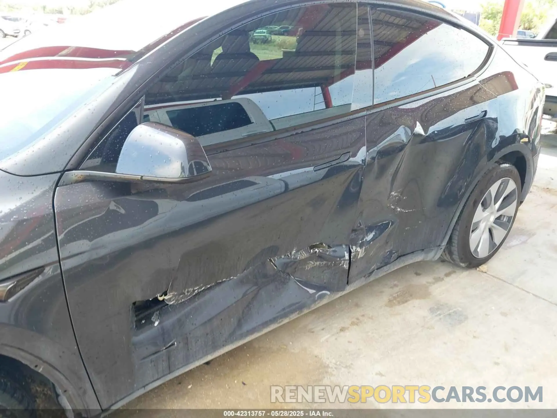 6 Photograph of a damaged car 7SAYGDED6RF054342 TESLA MODEL Y 2024