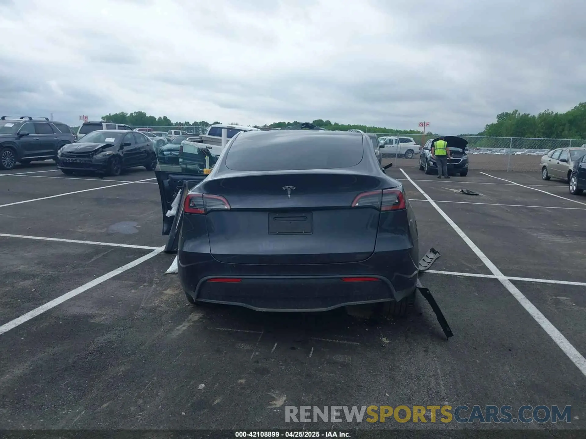 16 Photograph of a damaged car 7SAYGDED6RF151881 TESLA MODEL Y 2024