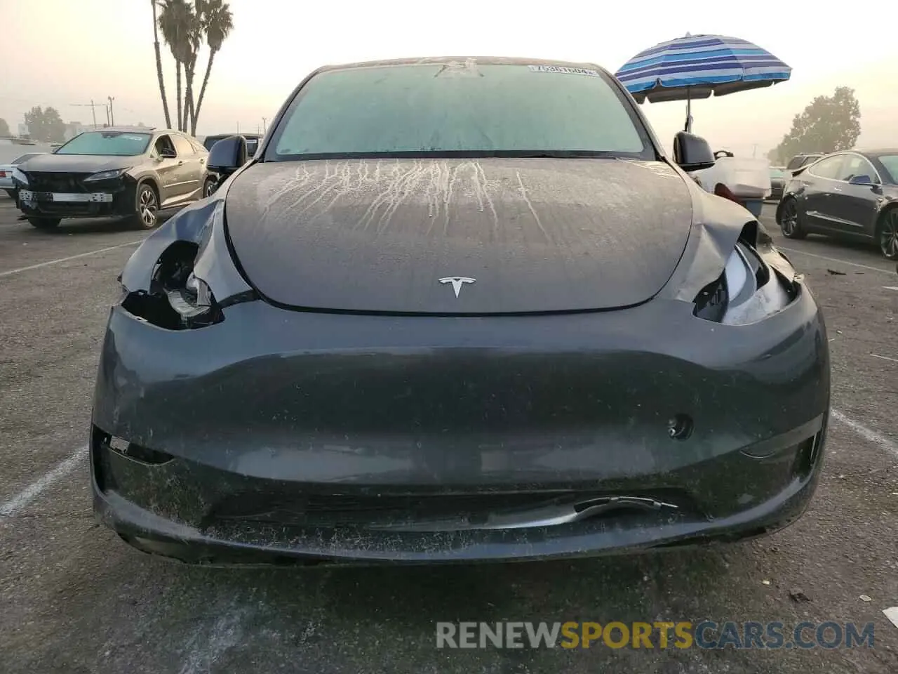 5 Photograph of a damaged car 7SAYGDED7RF103600 TESLA MODEL Y 2024