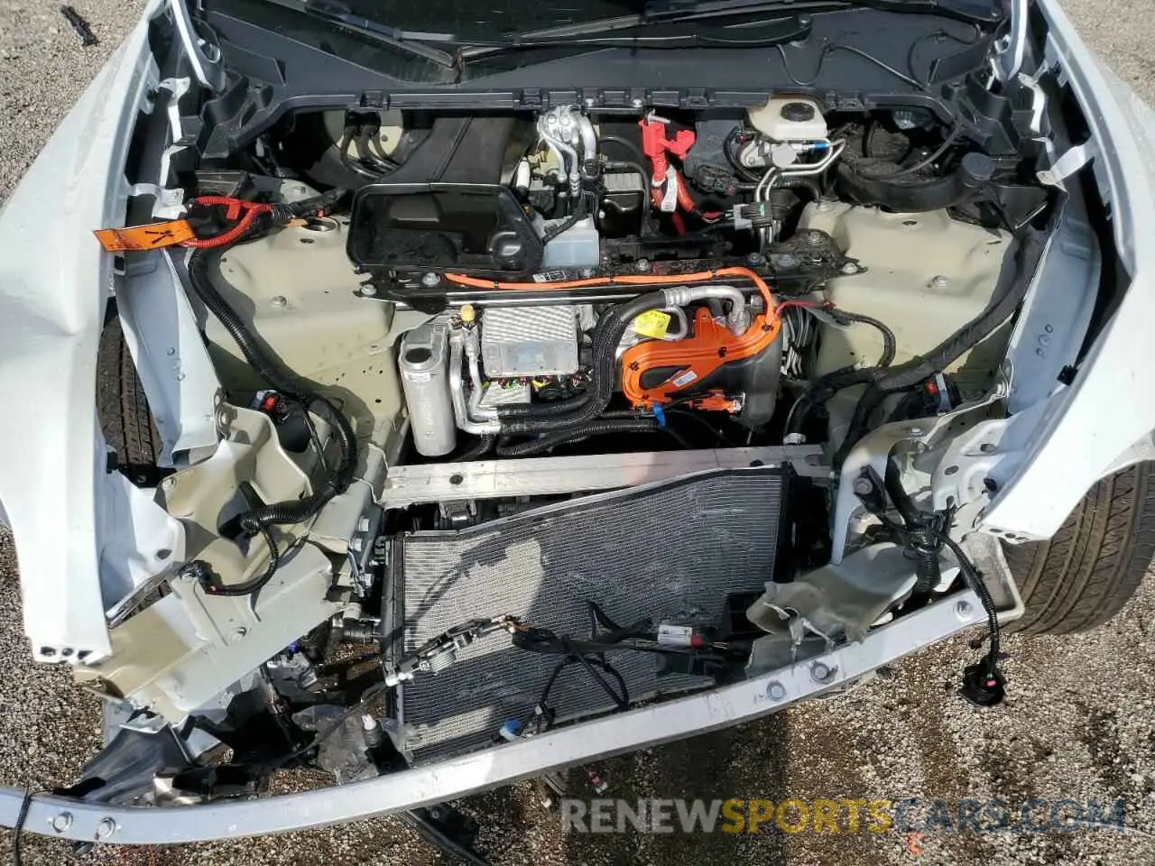 12 Photograph of a damaged car 7SAYGDEDXRF054473 TESLA MODEL Y 2024