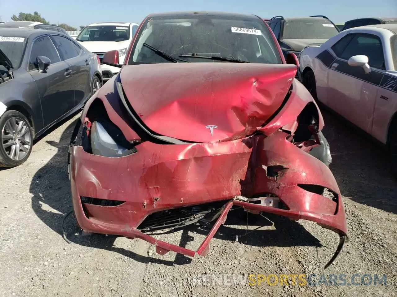 5 Photograph of a damaged car 7SAYGDEDXRF091121 TESLA MODEL Y 2024