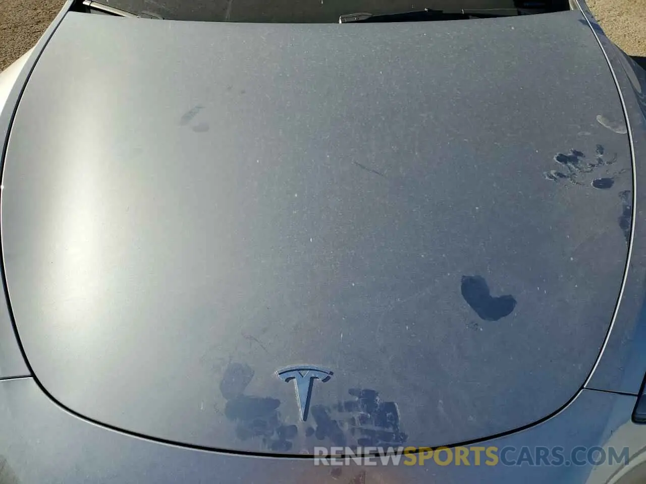 11 Photograph of a damaged car 7SAYGDEE0RA299398 TESLA MODEL Y 2024