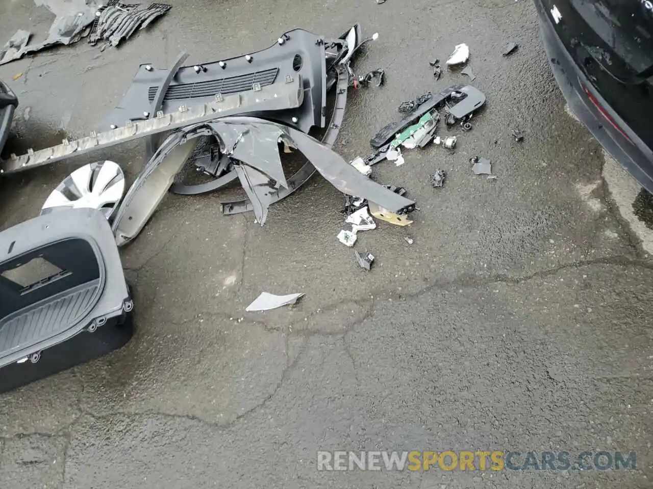 12 Photograph of a damaged car 7SAYGDEE0RF069797 TESLA MODEL Y 2024