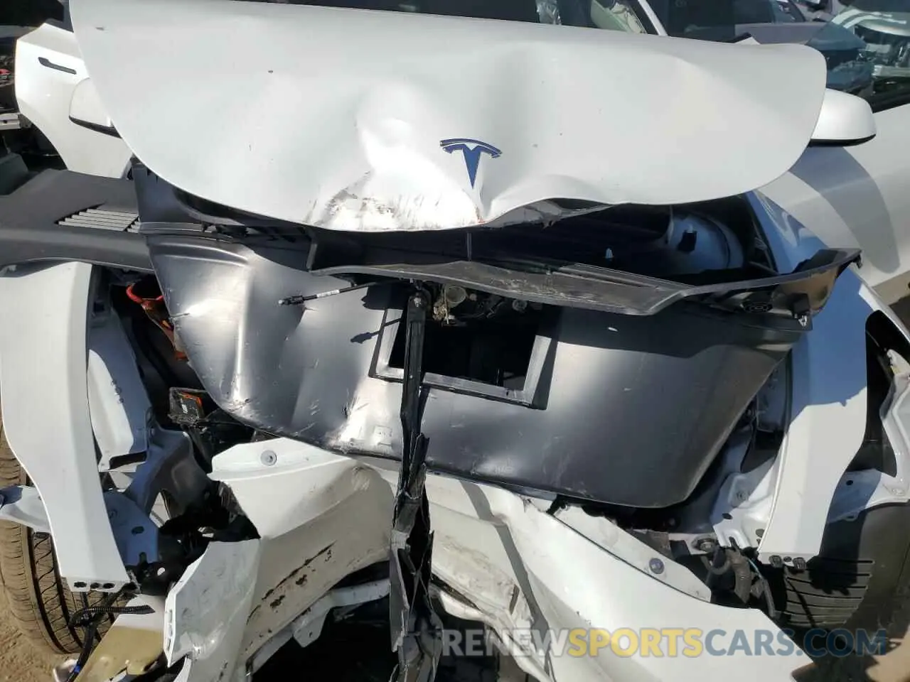 11 Photograph of a damaged car 7SAYGDEE0RF081948 TESLA MODEL Y 2024