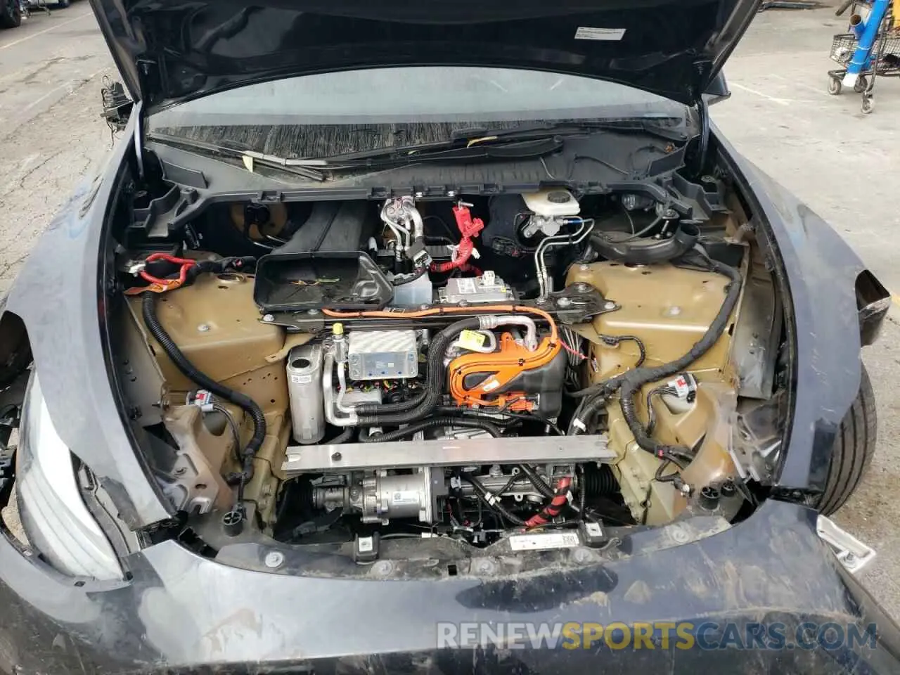 11 Photograph of a damaged car 7SAYGDEE0RF118383 TESLA MODEL Y 2024