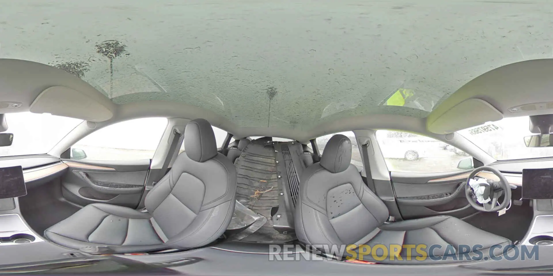12 Photograph of a damaged car 7SAYGDEE0RF165672 TESLA MODEL Y 2024