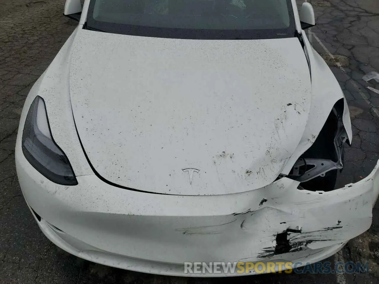 13 Photograph of a damaged car 7SAYGDEE0RF165672 TESLA MODEL Y 2024