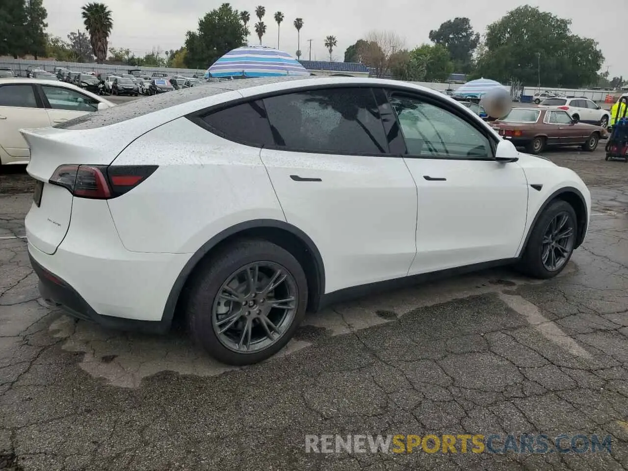 3 Photograph of a damaged car 7SAYGDEE0RF165672 TESLA MODEL Y 2024