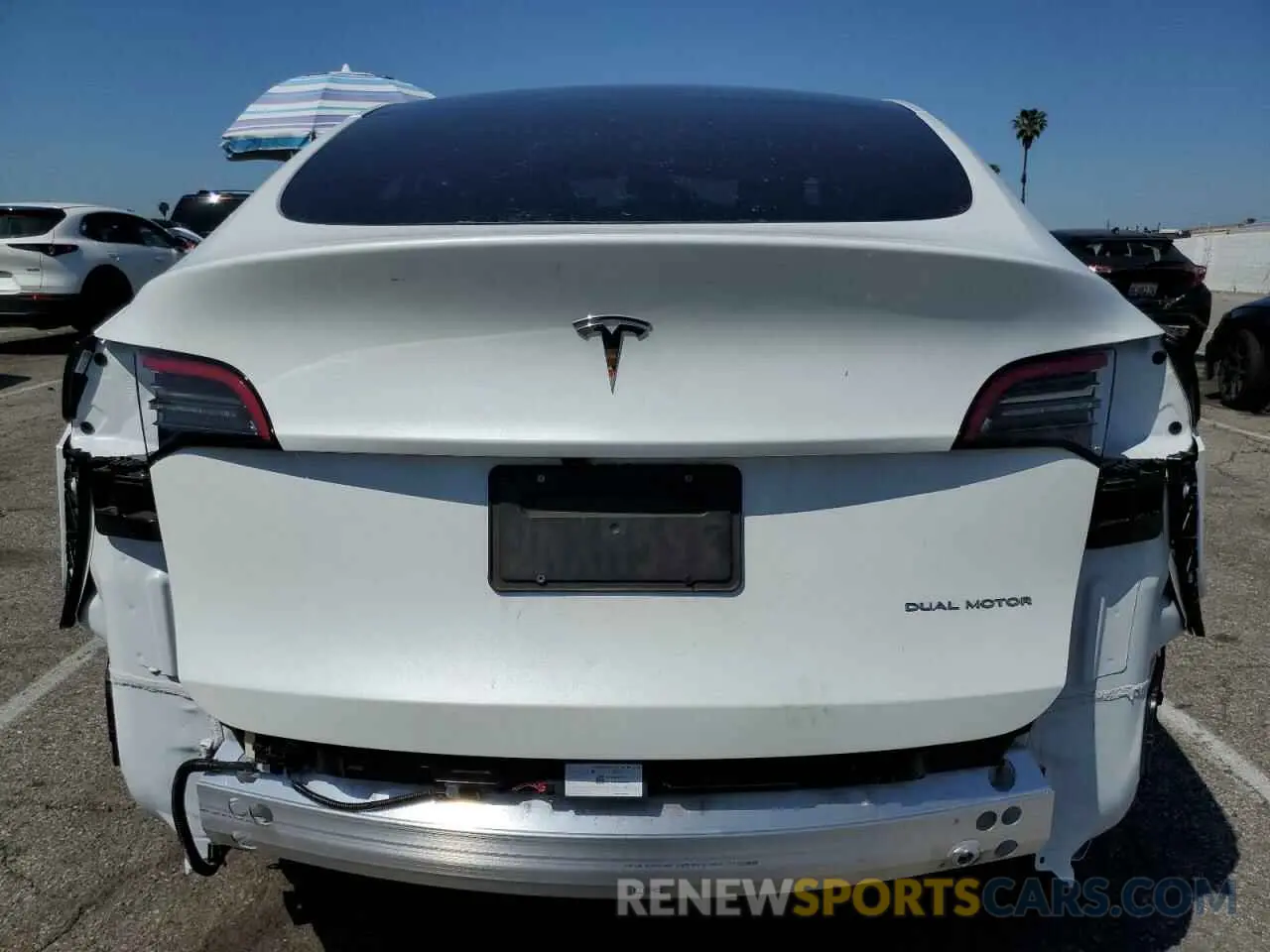 6 Photograph of a damaged car 7SAYGDEE0RF169236 TESLA MODEL Y 2024
