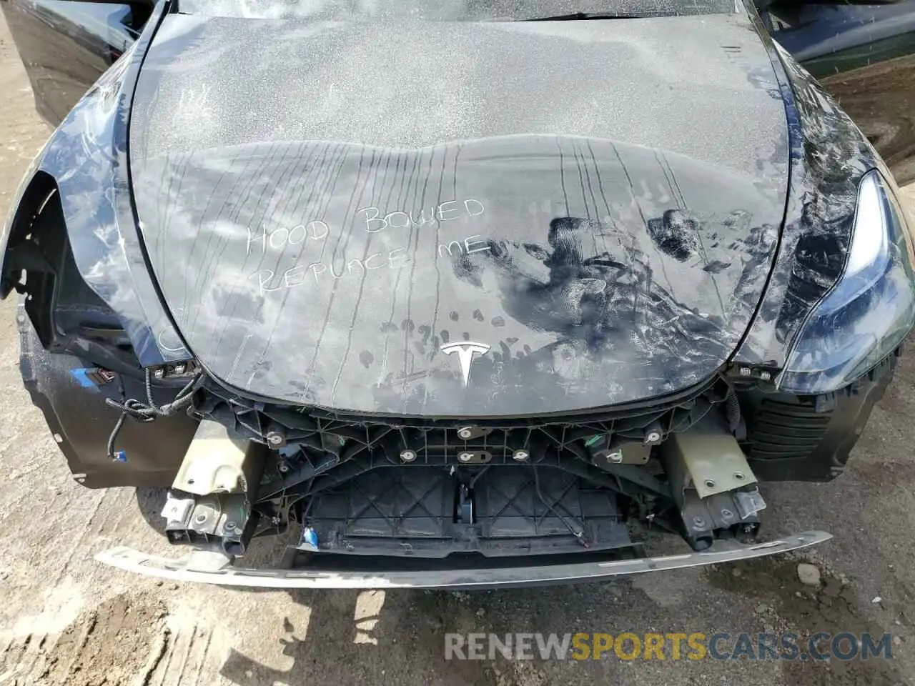 12 Photograph of a damaged car 7SAYGDEE0RF202381 TESLA MODEL Y 2024