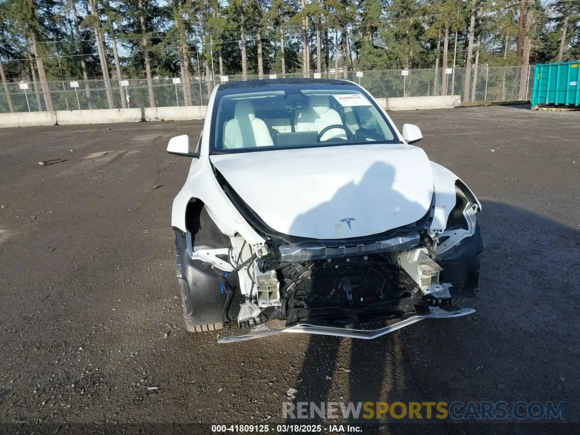 13 Photograph of a damaged car 7SAYGDEE1RF056816 TESLA MODEL Y 2024