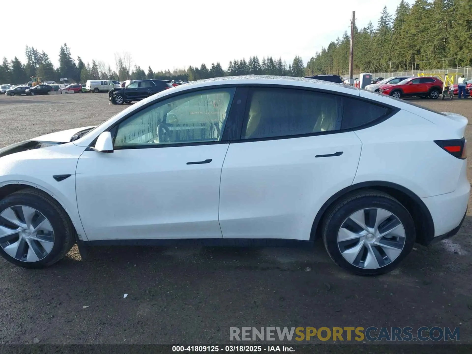 15 Photograph of a damaged car 7SAYGDEE1RF056816 TESLA MODEL Y 2024