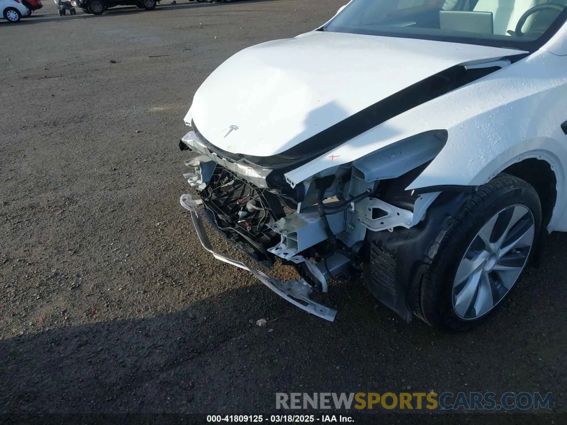 6 Photograph of a damaged car 7SAYGDEE1RF056816 TESLA MODEL Y 2024