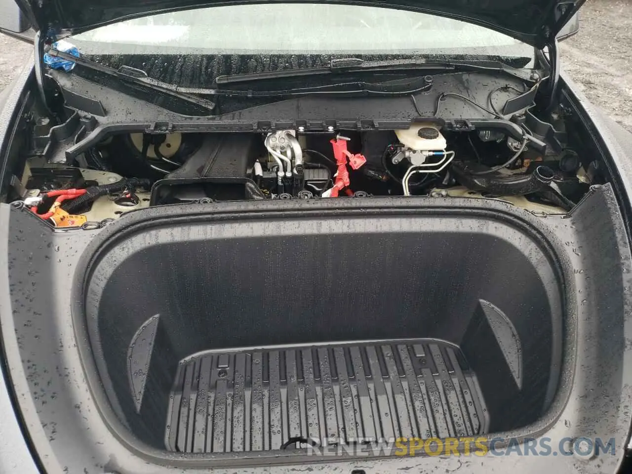 11 Photograph of a damaged car 7SAYGDEE1RF080095 TESLA MODEL Y 2024