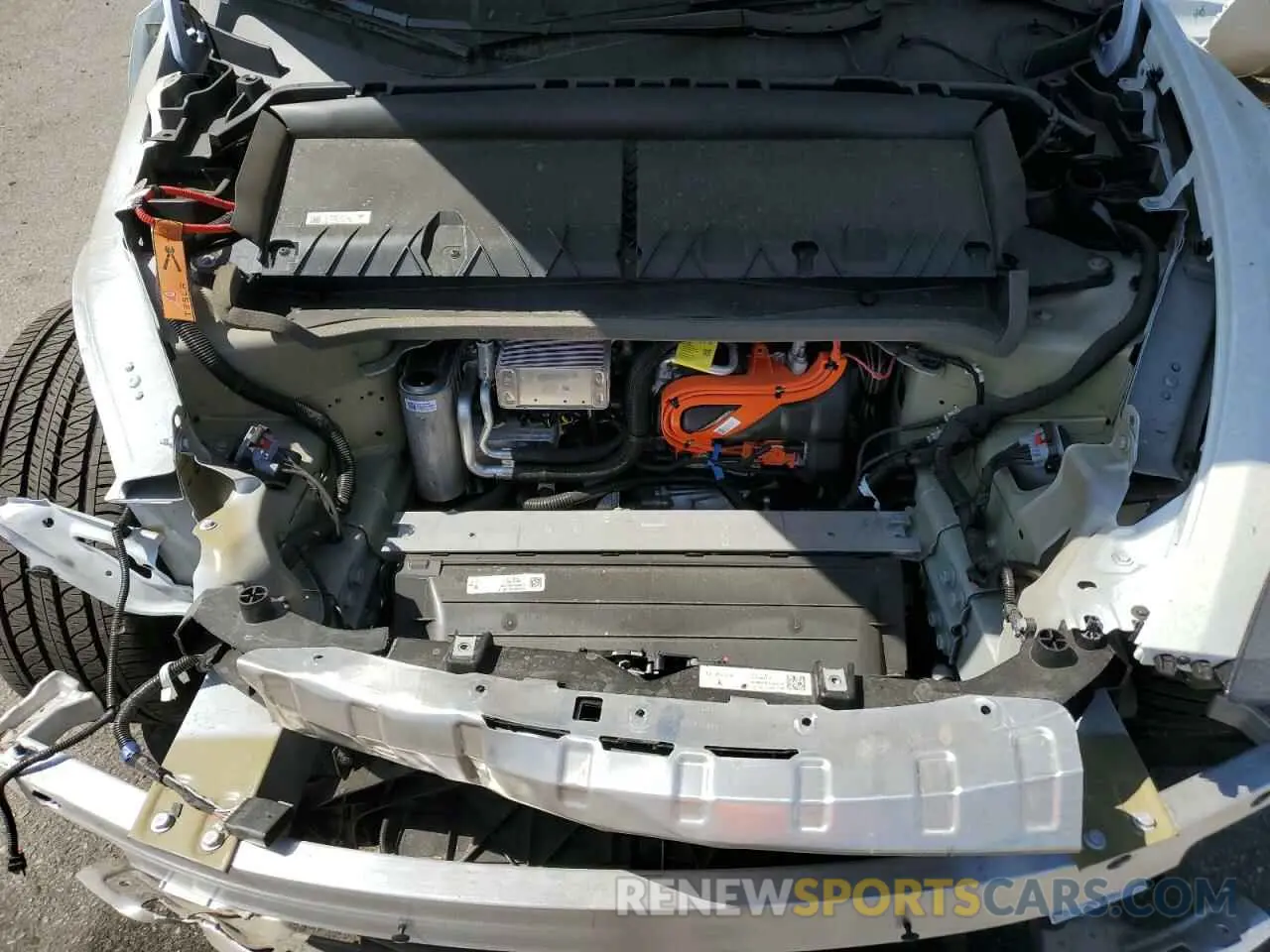 11 Photograph of a damaged car 7SAYGDEE1RF082428 TESLA MODEL Y 2024
