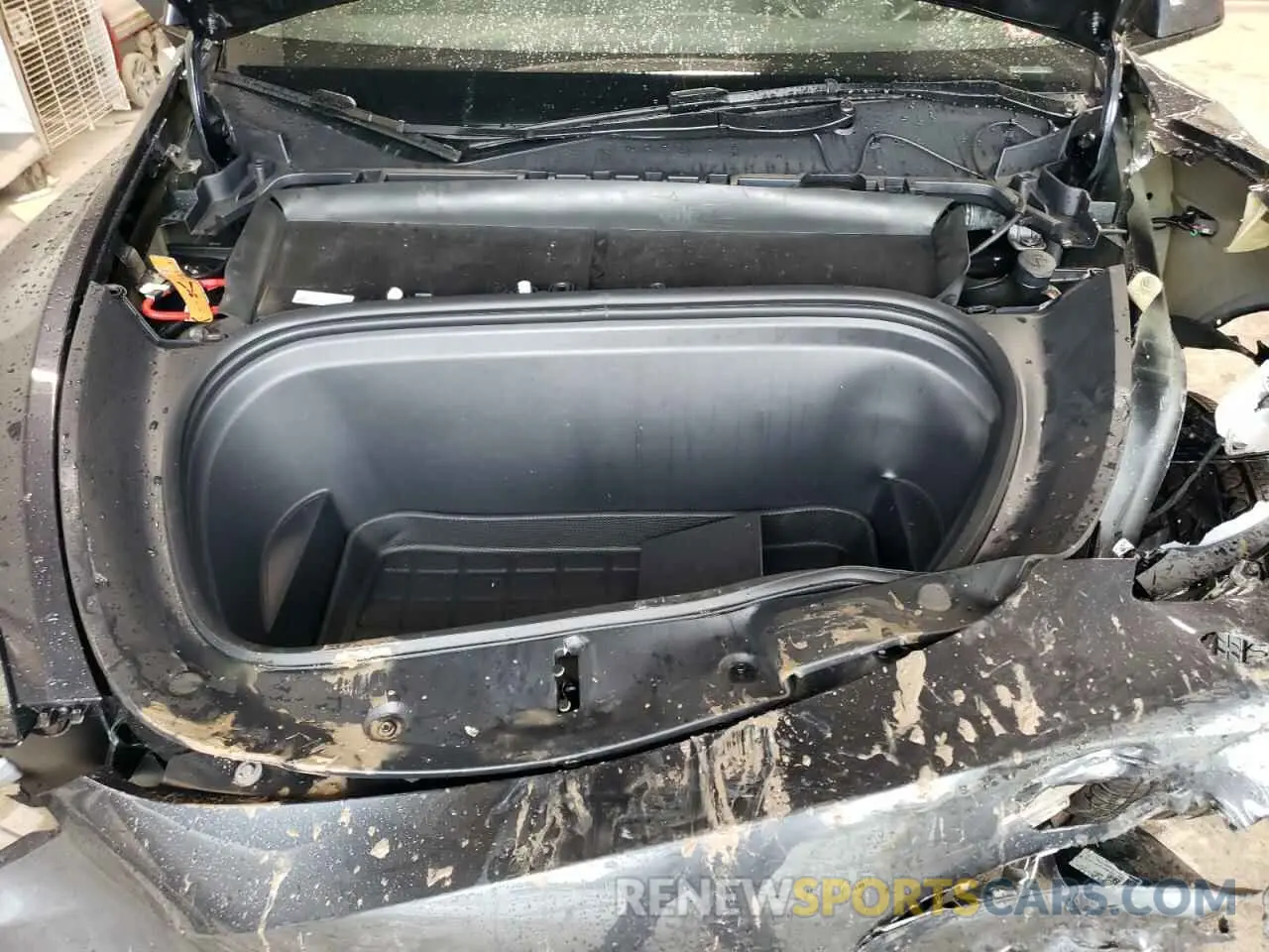 12 Photograph of a damaged car 7SAYGDEE1RF087256 TESLA MODEL Y 2024