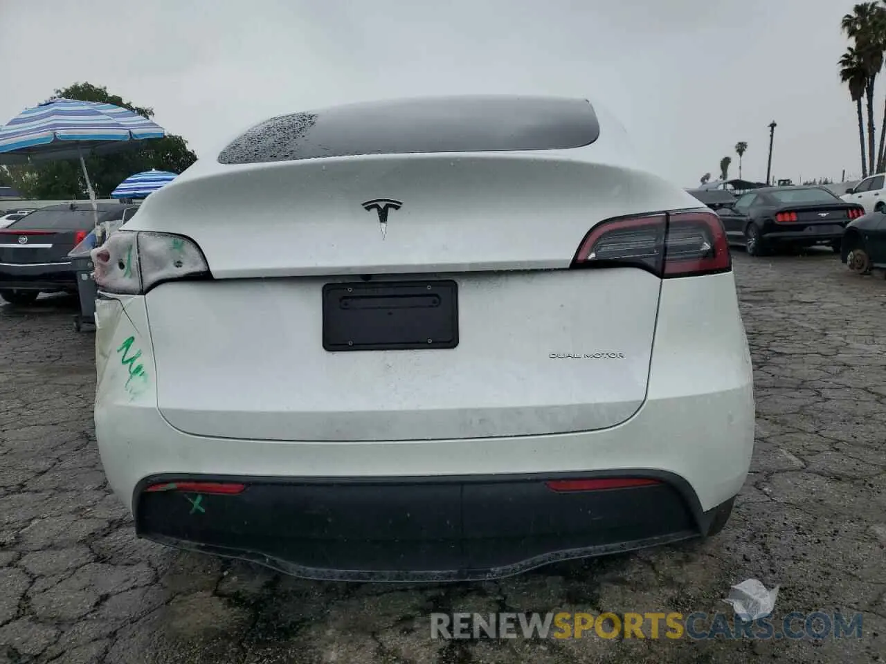 6 Photograph of a damaged car 7SAYGDEE1RF124192 TESLA MODEL Y 2024