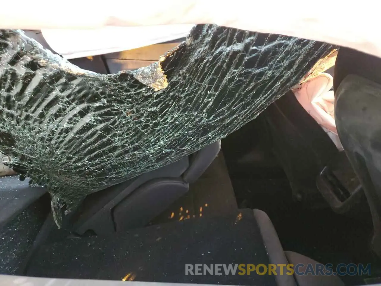 11 Photograph of a damaged car 7SAYGDEE1RF132762 TESLA MODEL Y 2024