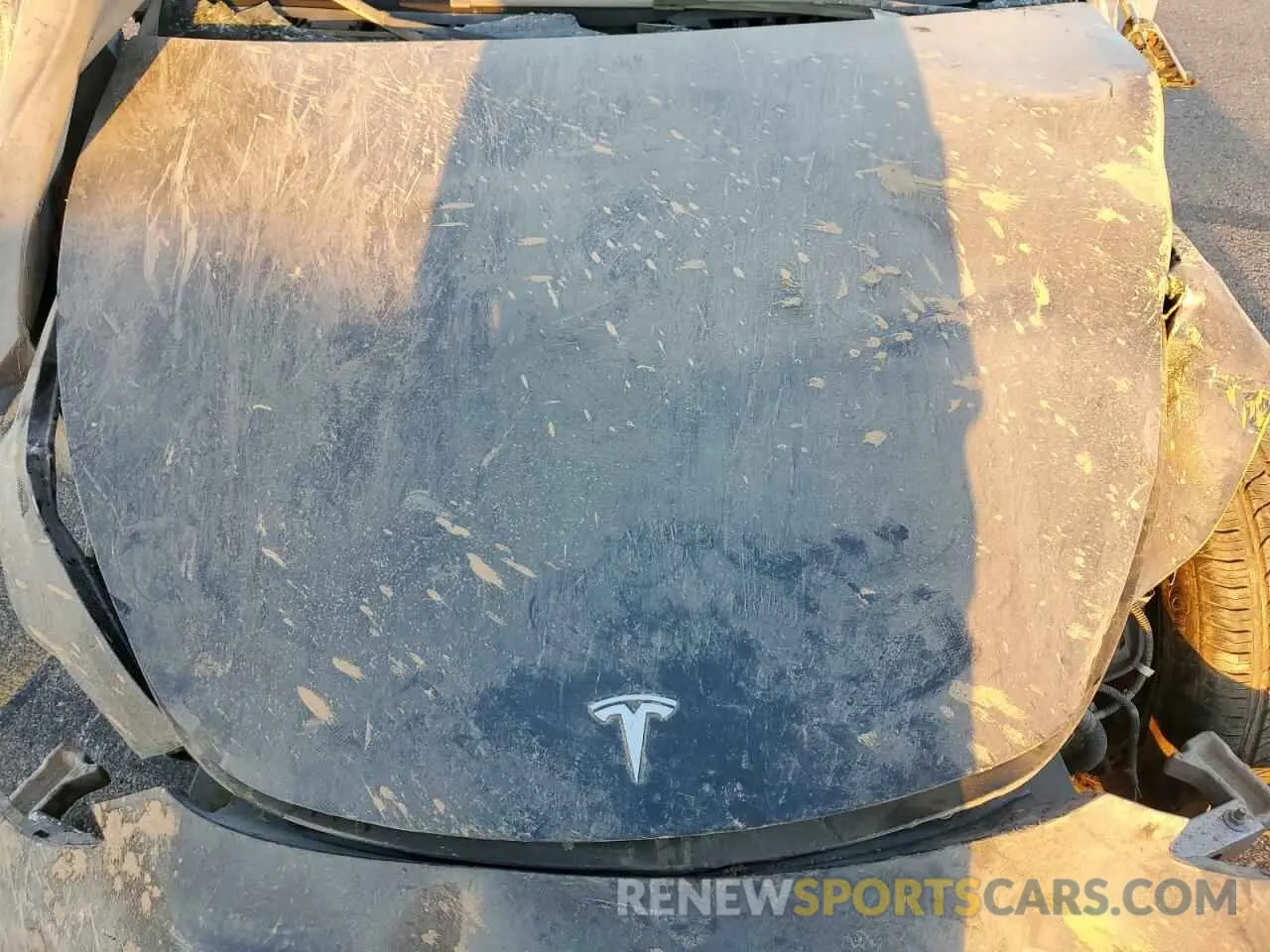 12 Photograph of a damaged car 7SAYGDEE1RF132762 TESLA MODEL Y 2024
