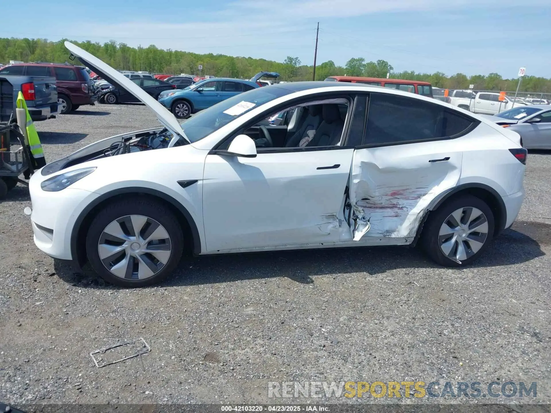 6 Photograph of a damaged car 7SAYGDEE2RA223679 TESLA MODEL Y 2024