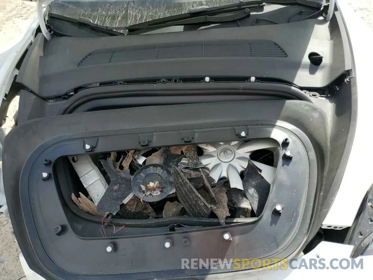 13 Photograph of a damaged car 7SAYGDEE2RA335818 TESLA MODEL Y 2024