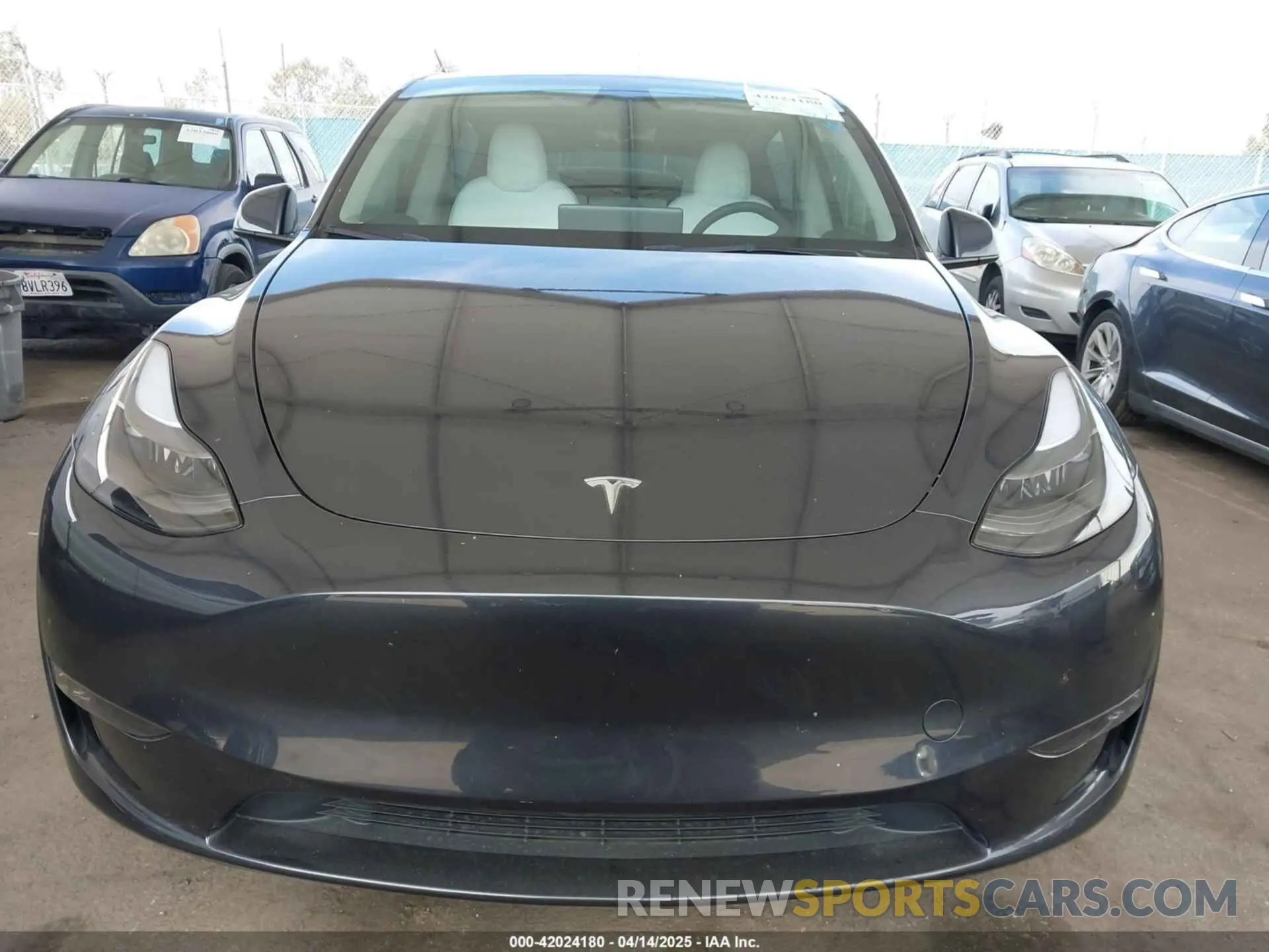 12 Photograph of a damaged car 7SAYGDEE2RF069588 TESLA MODEL Y 2024