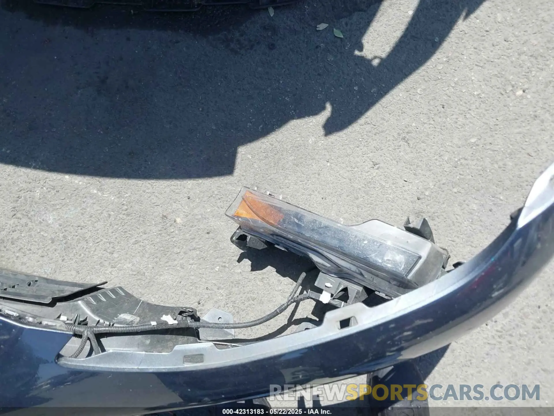 19 Photograph of a damaged car 7SAYGDEE2RF165012 TESLA MODEL Y 2024