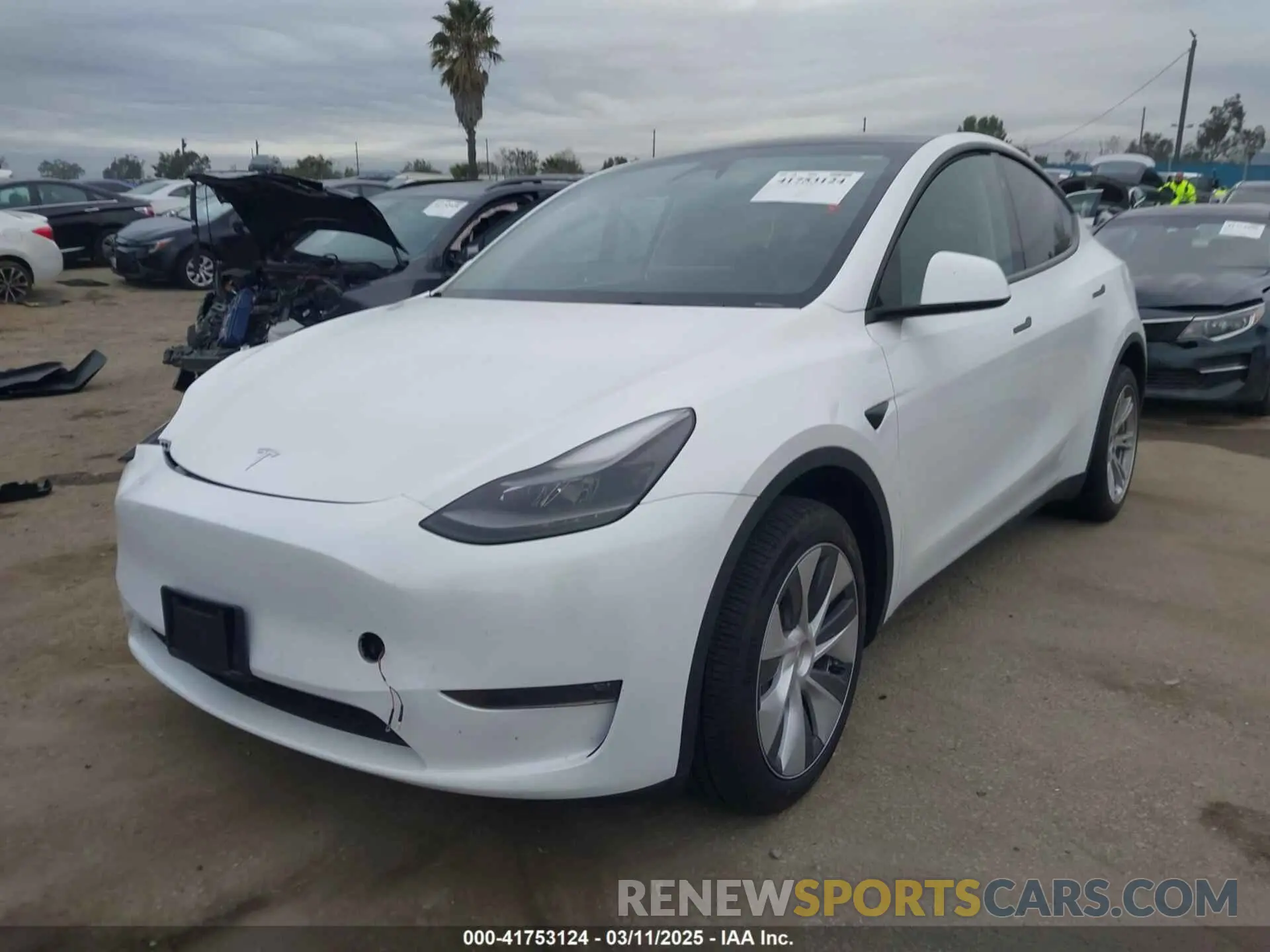 2 Photograph of a damaged car 7SAYGDEE3RA232293 TESLA MODEL Y 2024