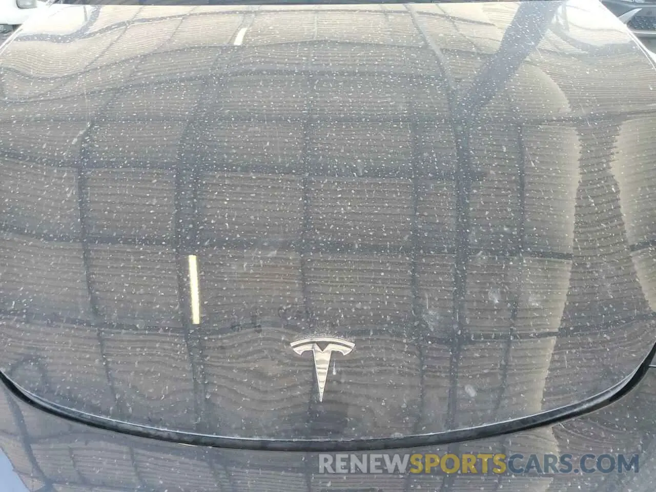 11 Photograph of a damaged car 7SAYGDEE3RA235002 TESLA MODEL Y 2024