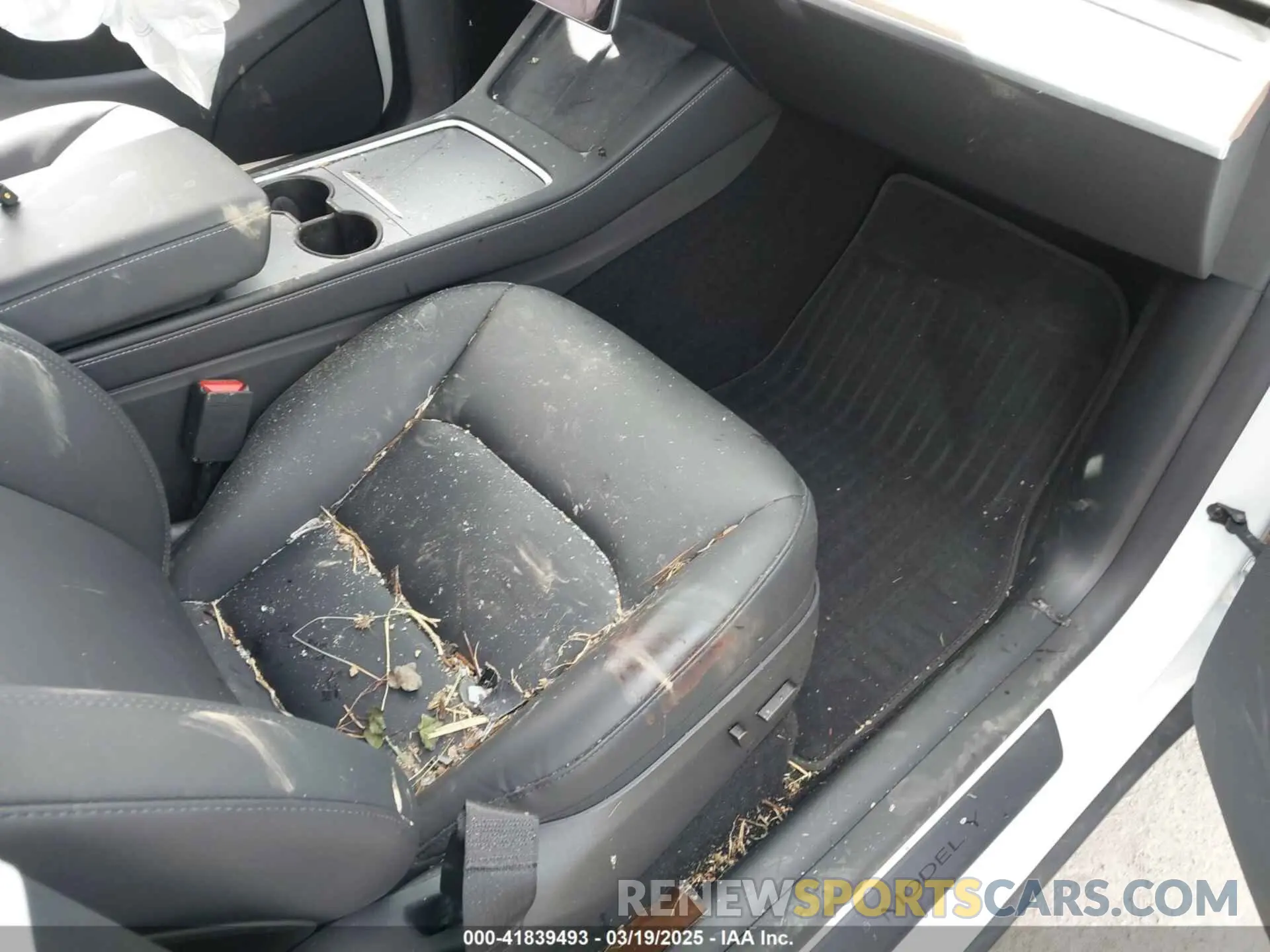 5 Photograph of a damaged car 7SAYGDEE3RA258490 TESLA MODEL Y 2024