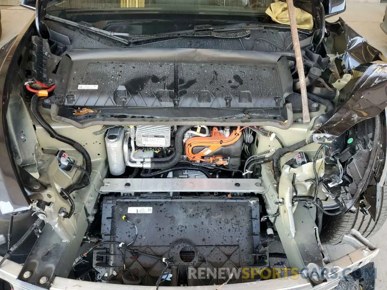 11 Photograph of a damaged car 7SAYGDEE3RA280814 TESLA MODEL Y 2024