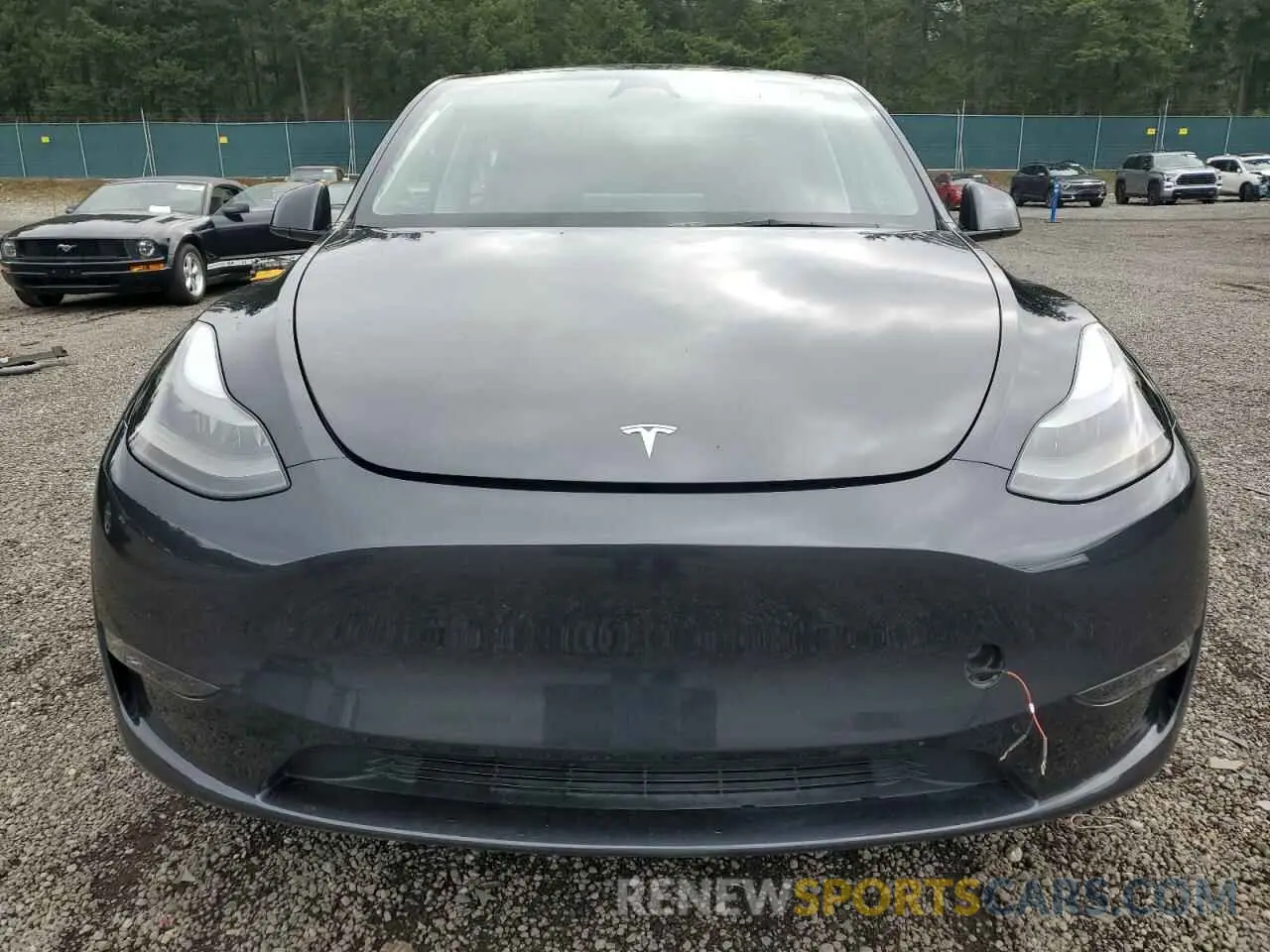 5 Photograph of a damaged car 7SAYGDEE3RF072919 TESLA MODEL Y 2024