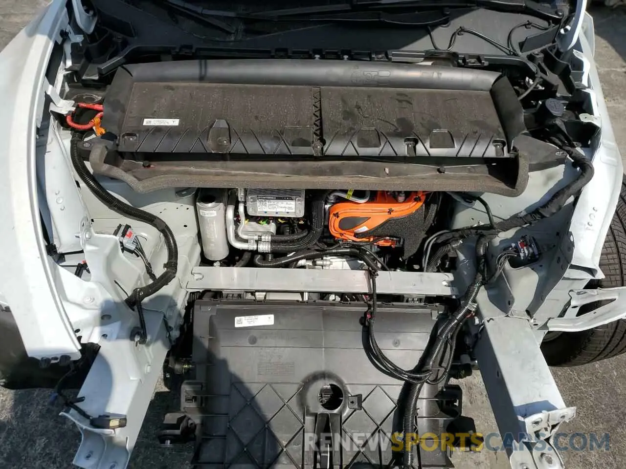 11 Photograph of a damaged car 7SAYGDEE4RA259034 TESLA MODEL Y 2024
