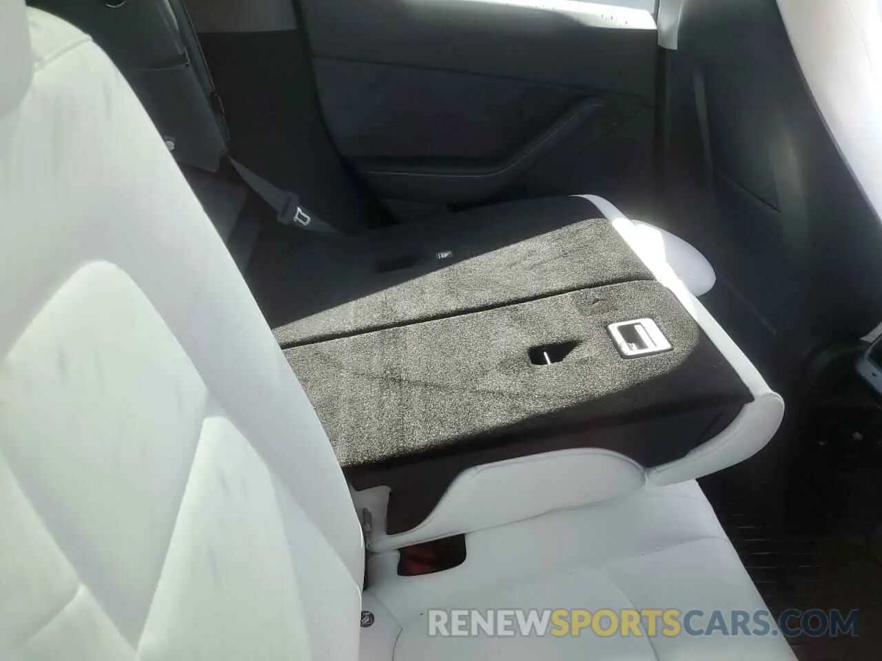 11 Photograph of a damaged car 7SAYGDEE4RA261012 TESLA MODEL Y 2024