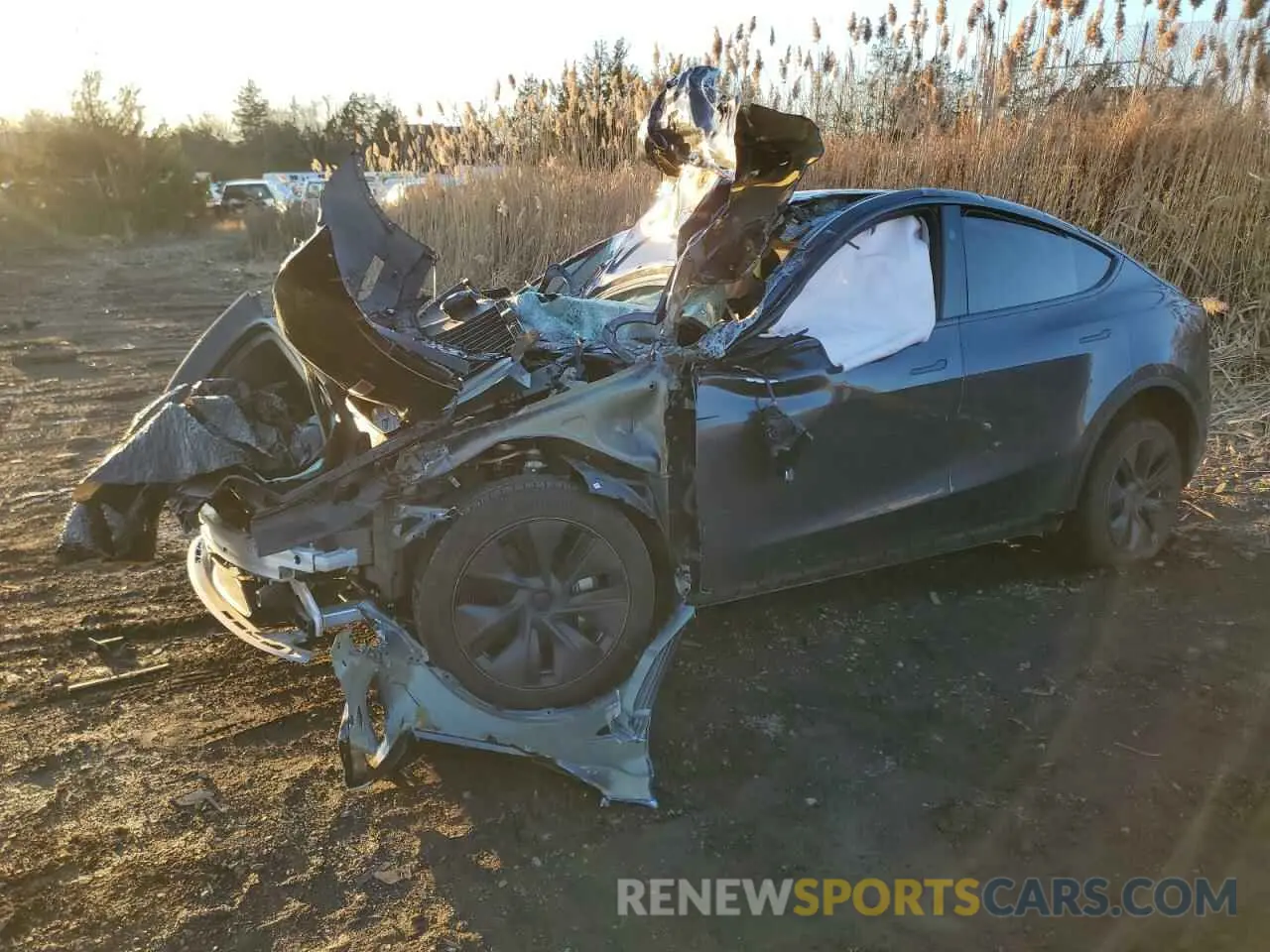 1 Photograph of a damaged car 7SAYGDEE4RA319880 TESLA MODEL Y 2024