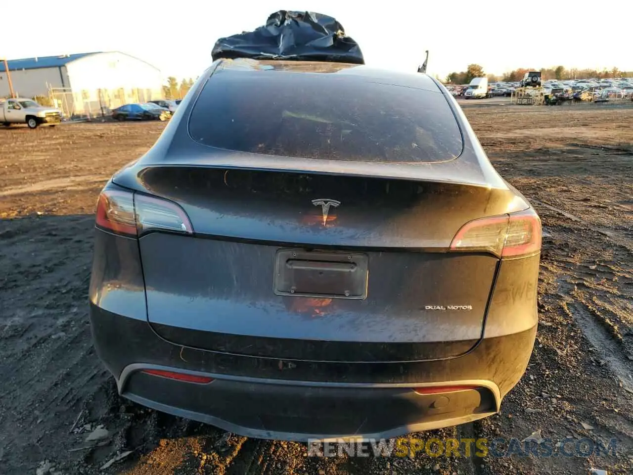 6 Photograph of a damaged car 7SAYGDEE4RA319880 TESLA MODEL Y 2024