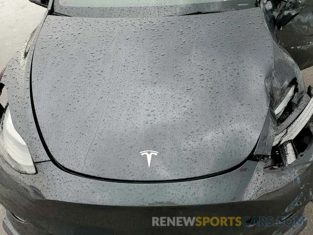 11 Photograph of a damaged car 7SAYGDEE4RF060469 TESLA MODEL Y 2024
