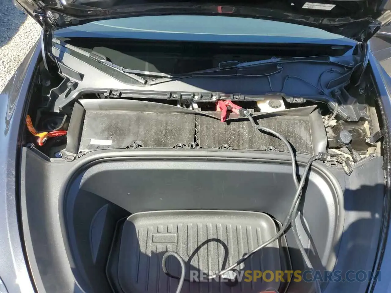 11 Photograph of a damaged car 7SAYGDEE5RF071206 TESLA MODEL Y 2024