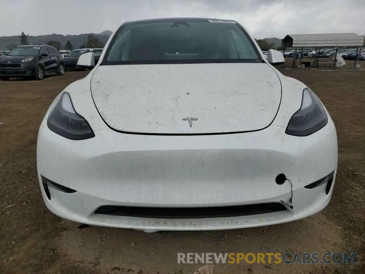 5 Photograph of a damaged car 7SAYGDEE5RF075756 TESLA MODEL Y 2024