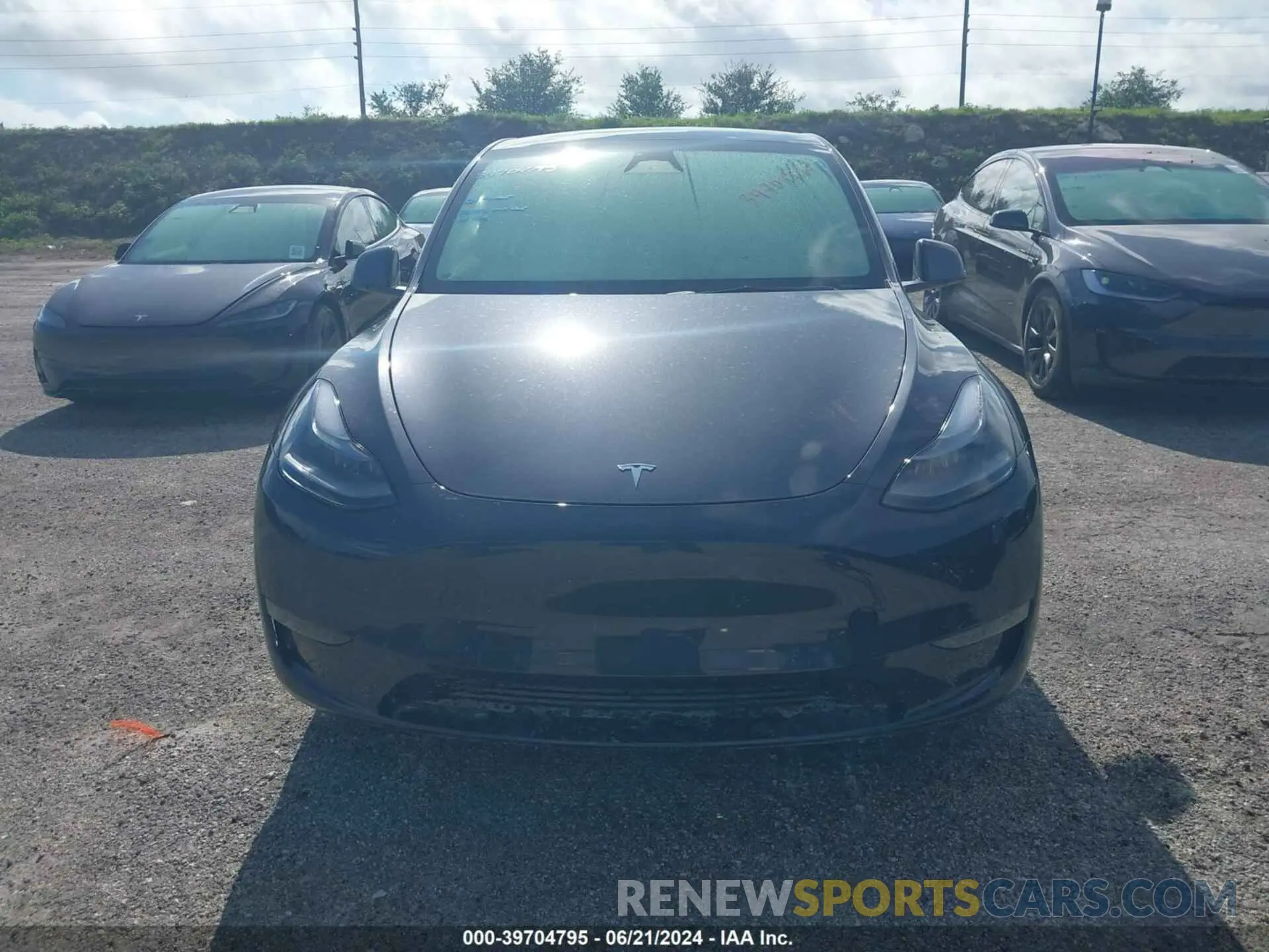 6 Photograph of a damaged car 7SAYGDEE6RA239531 TESLA MODEL Y 2024
