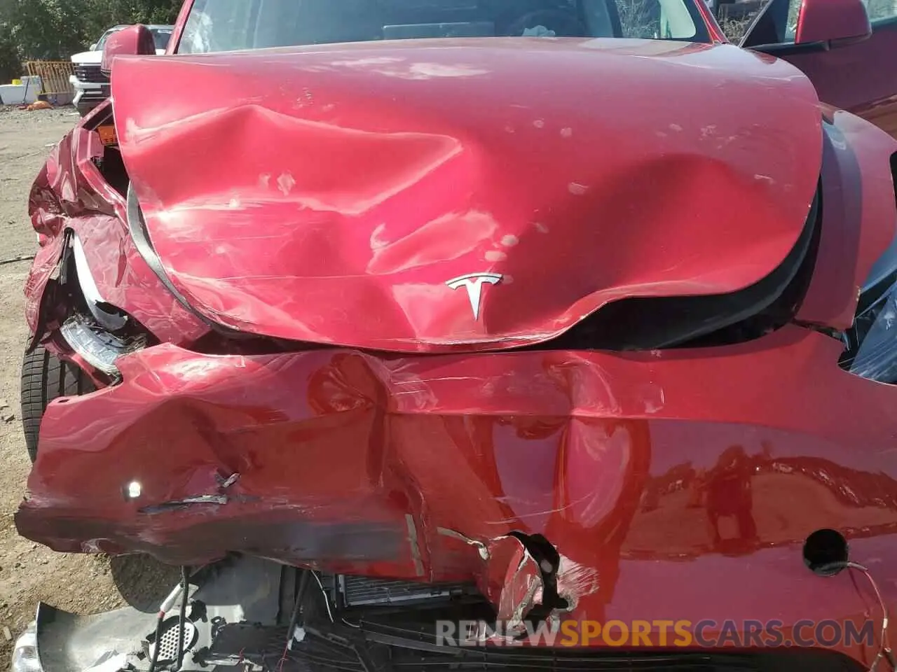 11 Photograph of a damaged car 7SAYGDEE6RA261108 TESLA MODEL Y 2024