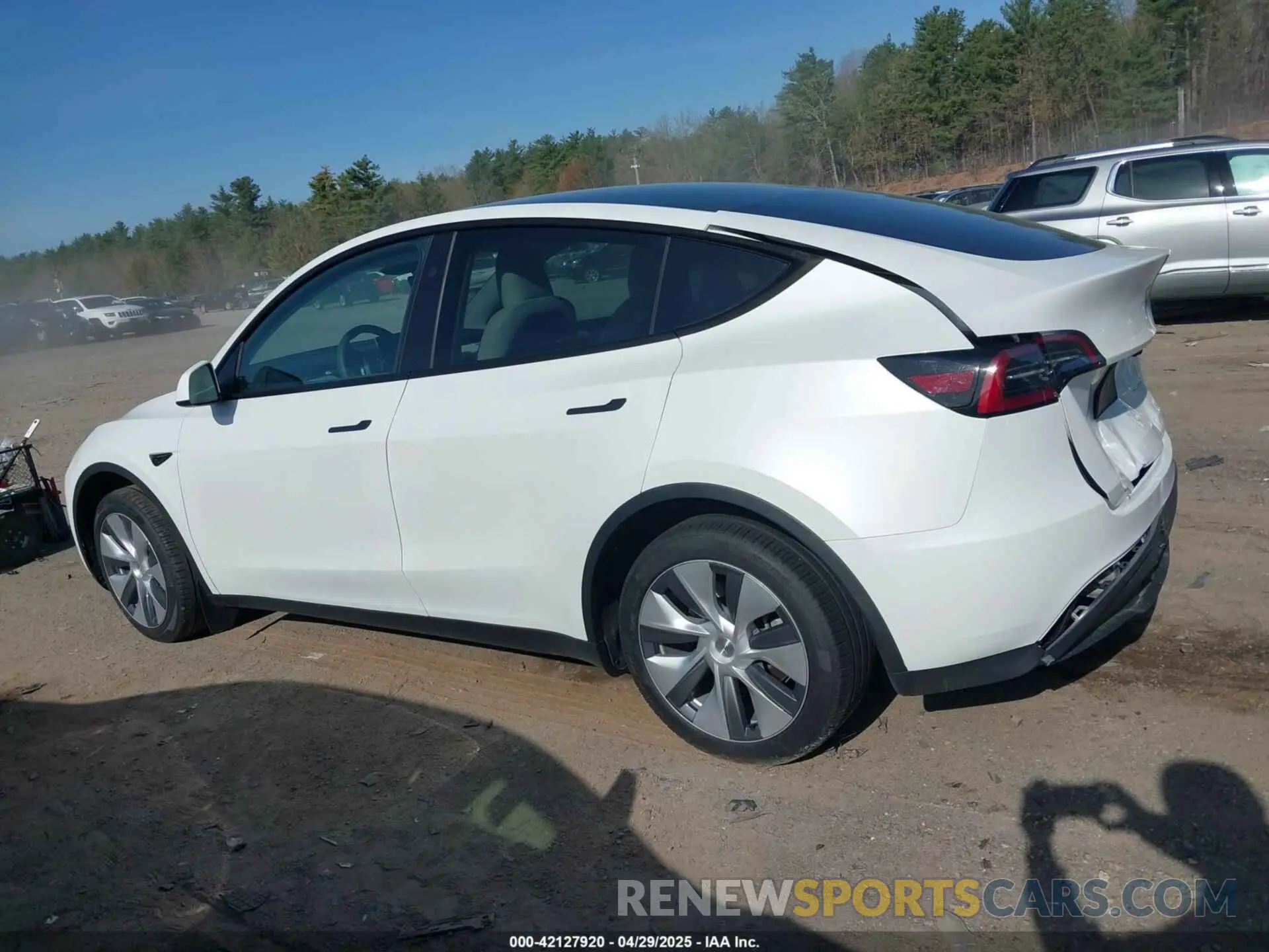 14 Photograph of a damaged car 7SAYGDEE6RA269435 TESLA MODEL Y 2024