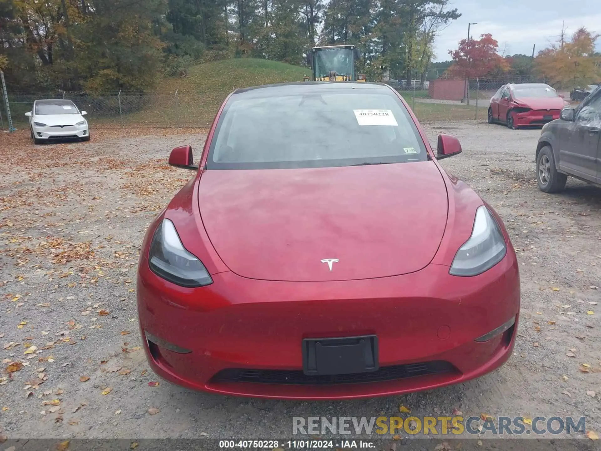 12 Photograph of a damaged car 7SAYGDEE6RA310761 TESLA MODEL Y 2024