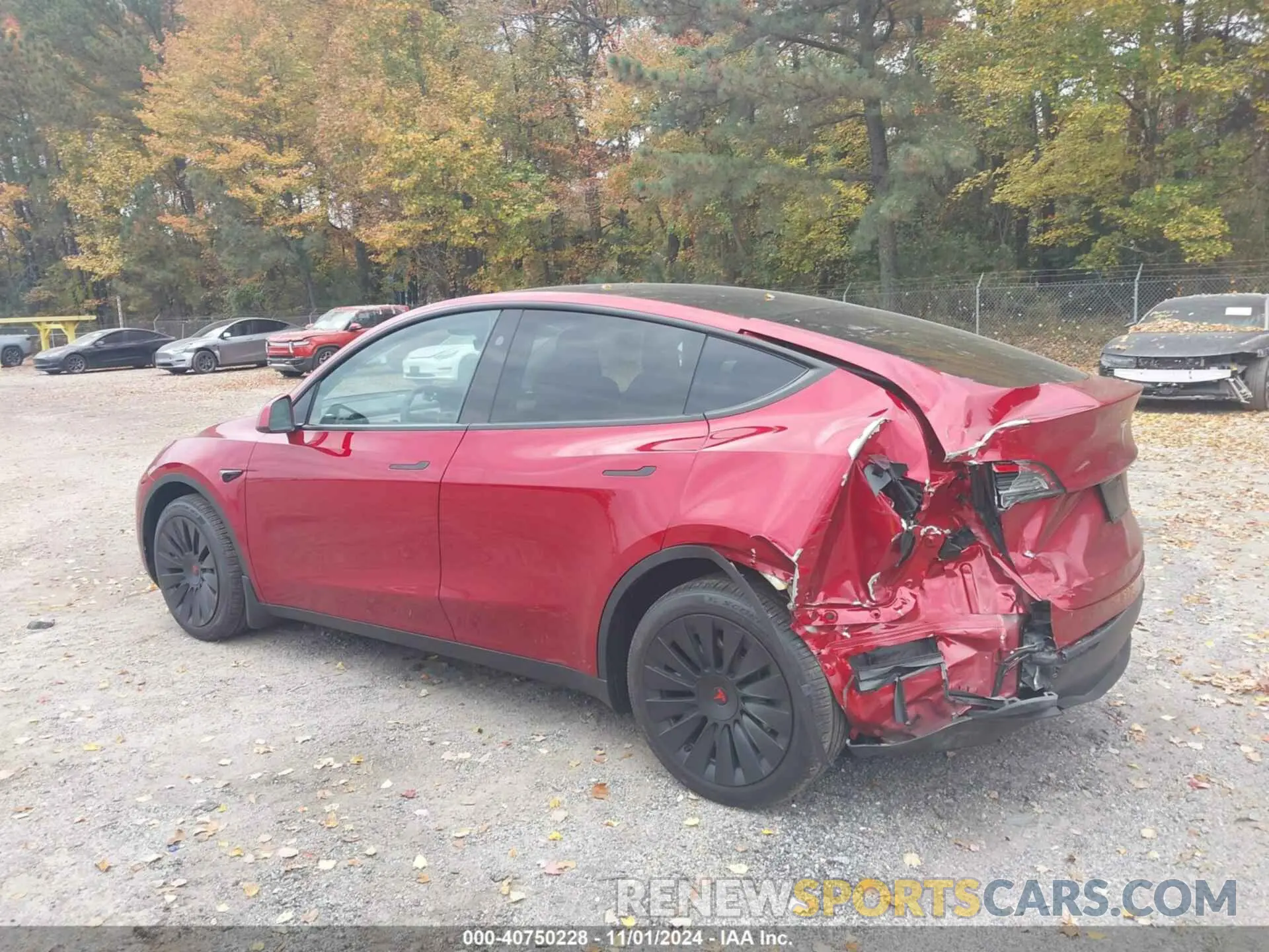 14 Photograph of a damaged car 7SAYGDEE6RA310761 TESLA MODEL Y 2024