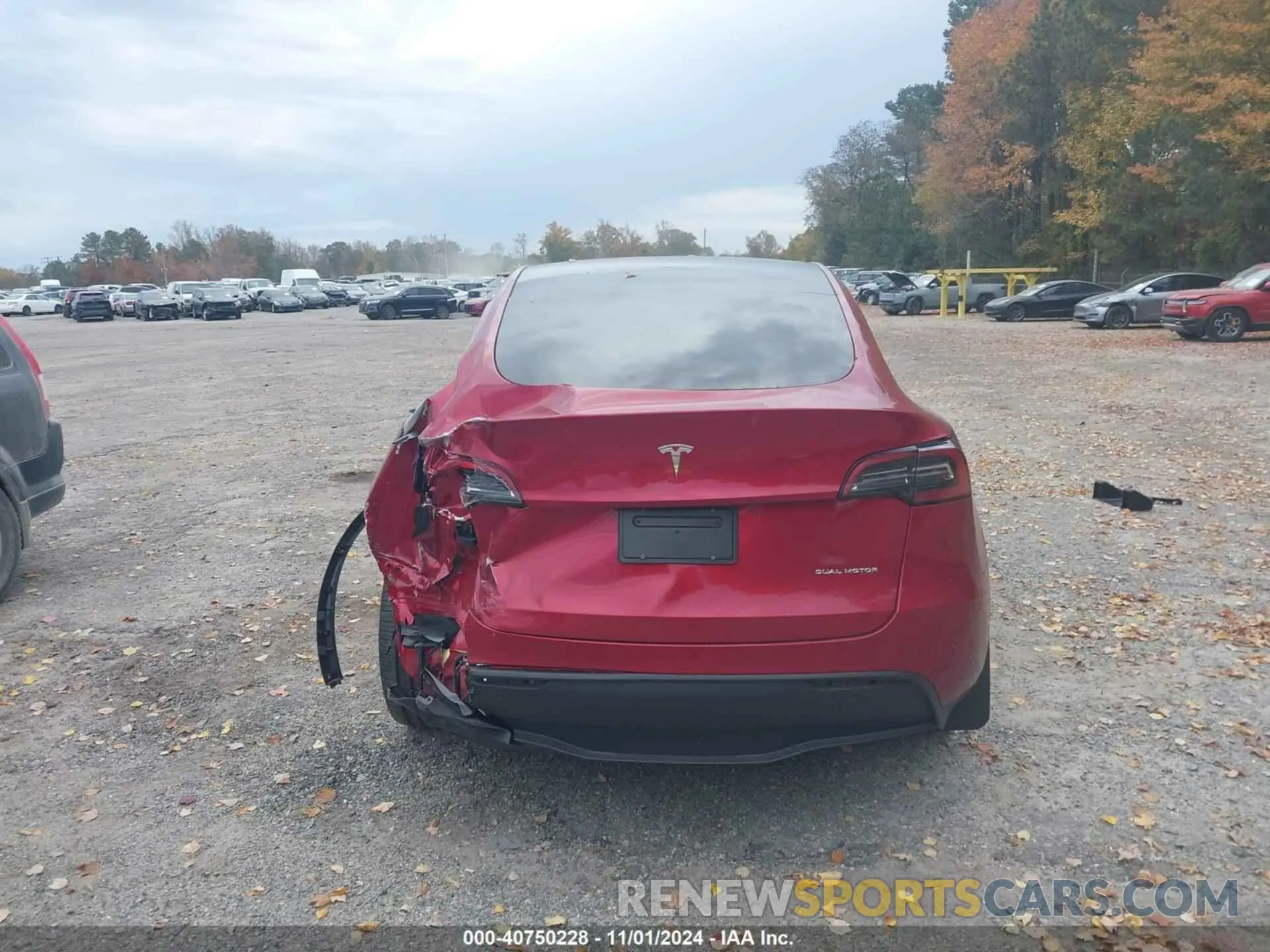 16 Photograph of a damaged car 7SAYGDEE6RA310761 TESLA MODEL Y 2024