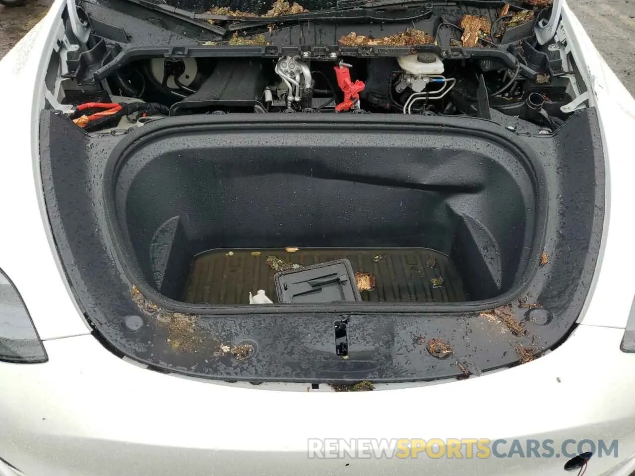 11 Photograph of a damaged car 7SAYGDEE6RF162372 TESLA MODEL Y 2024